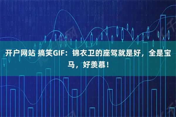 开户网站 搞笑GIF：锦衣卫的座驾就是好，全是宝马，好羡慕！