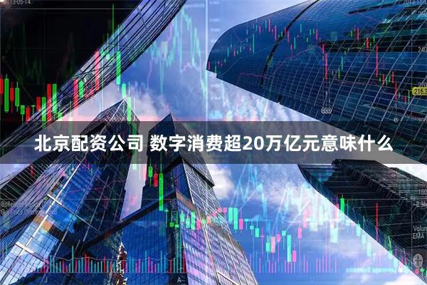 北京配资公司 数字消费超20万亿元意味什么