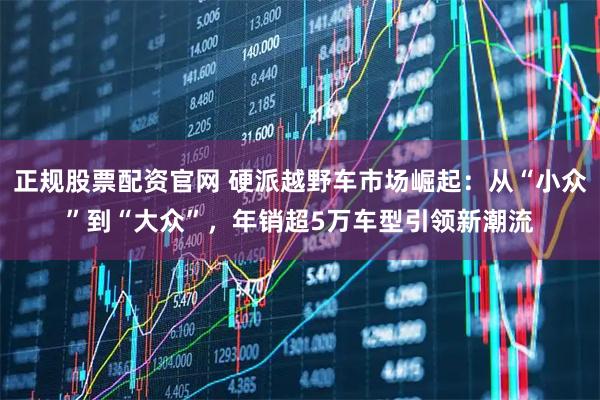 正规股票配资官网 硬派越野车市场崛起：从“小众”到“大众”，年销超5万车型引领新潮流