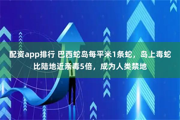 配资app排行 巴西蛇岛每平米1条蛇，岛上毒蛇比陆地近亲毒5倍，成为人类禁地