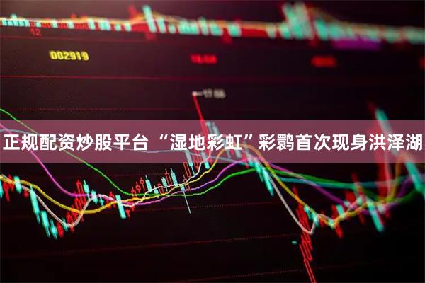 正规配资炒股平台 “湿地彩虹”彩鹮首次现身洪泽湖